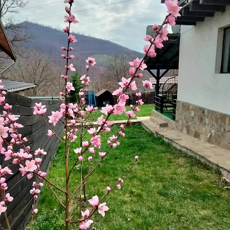 Roxana Villa *